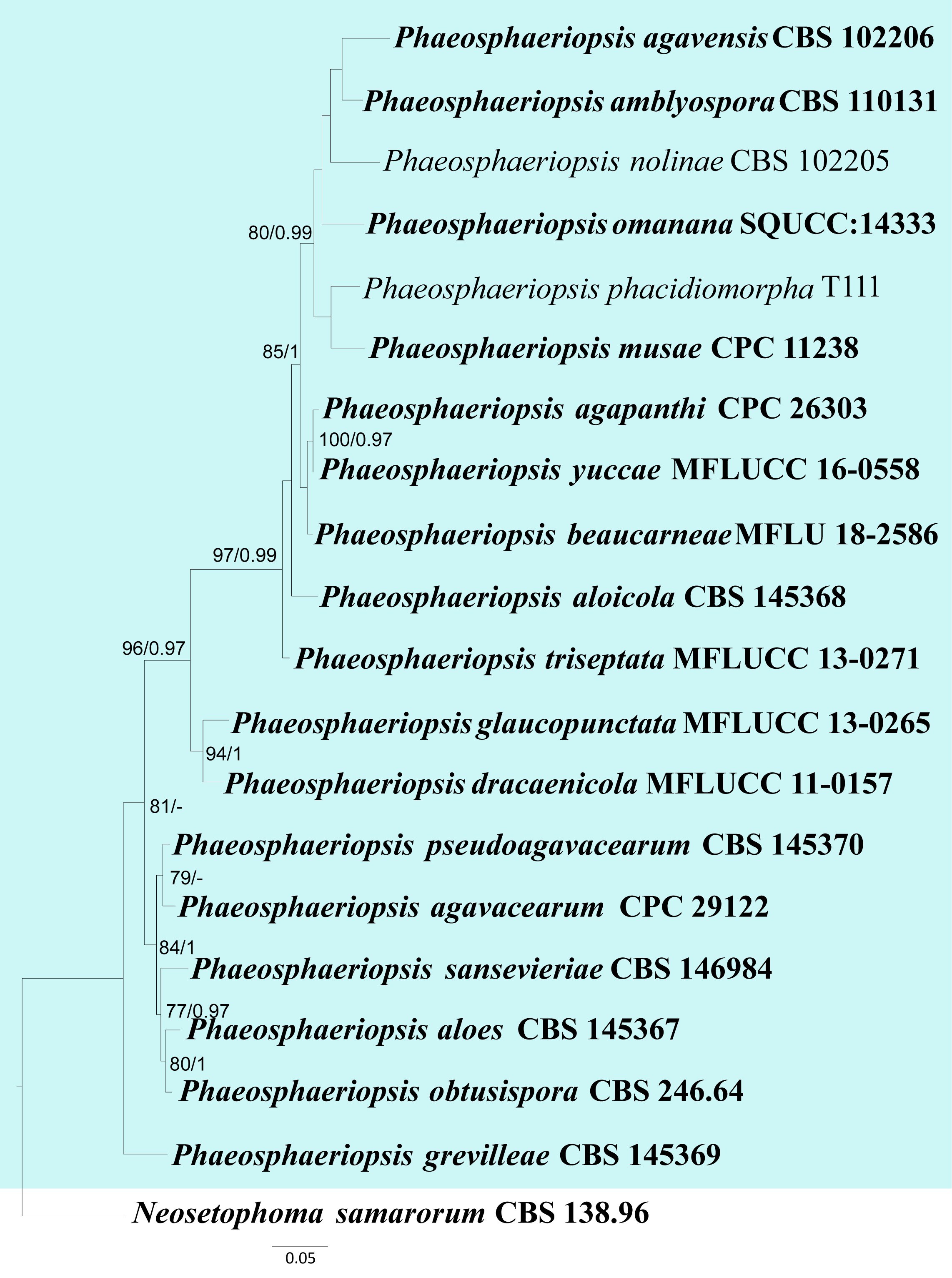 Figure 28